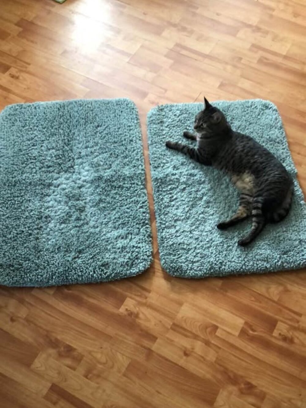 Bathroom or bedroom large thick bath mats rugs lot of 2 sage green